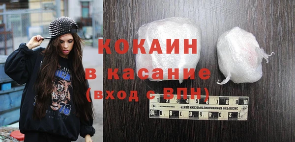 крисы Баксан