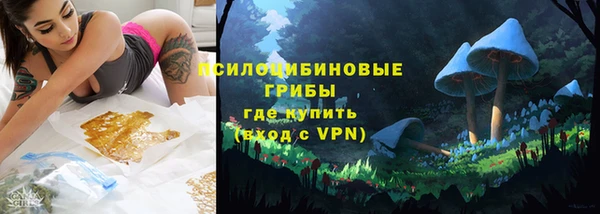 крисы Баксан