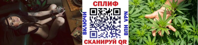 где купить   Терек  Каннабис Amnesia 